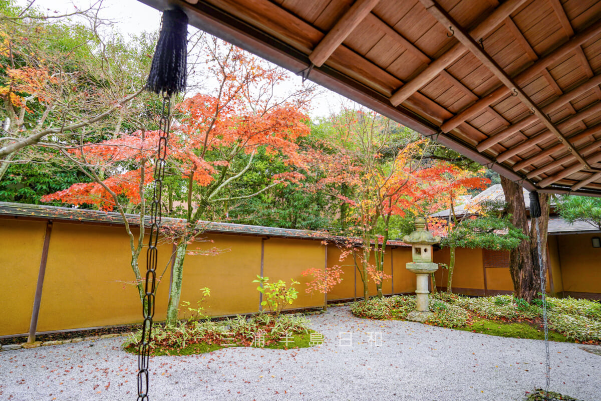 一条恵観山荘・中庭の紅葉（撮影日：2022.11.30）