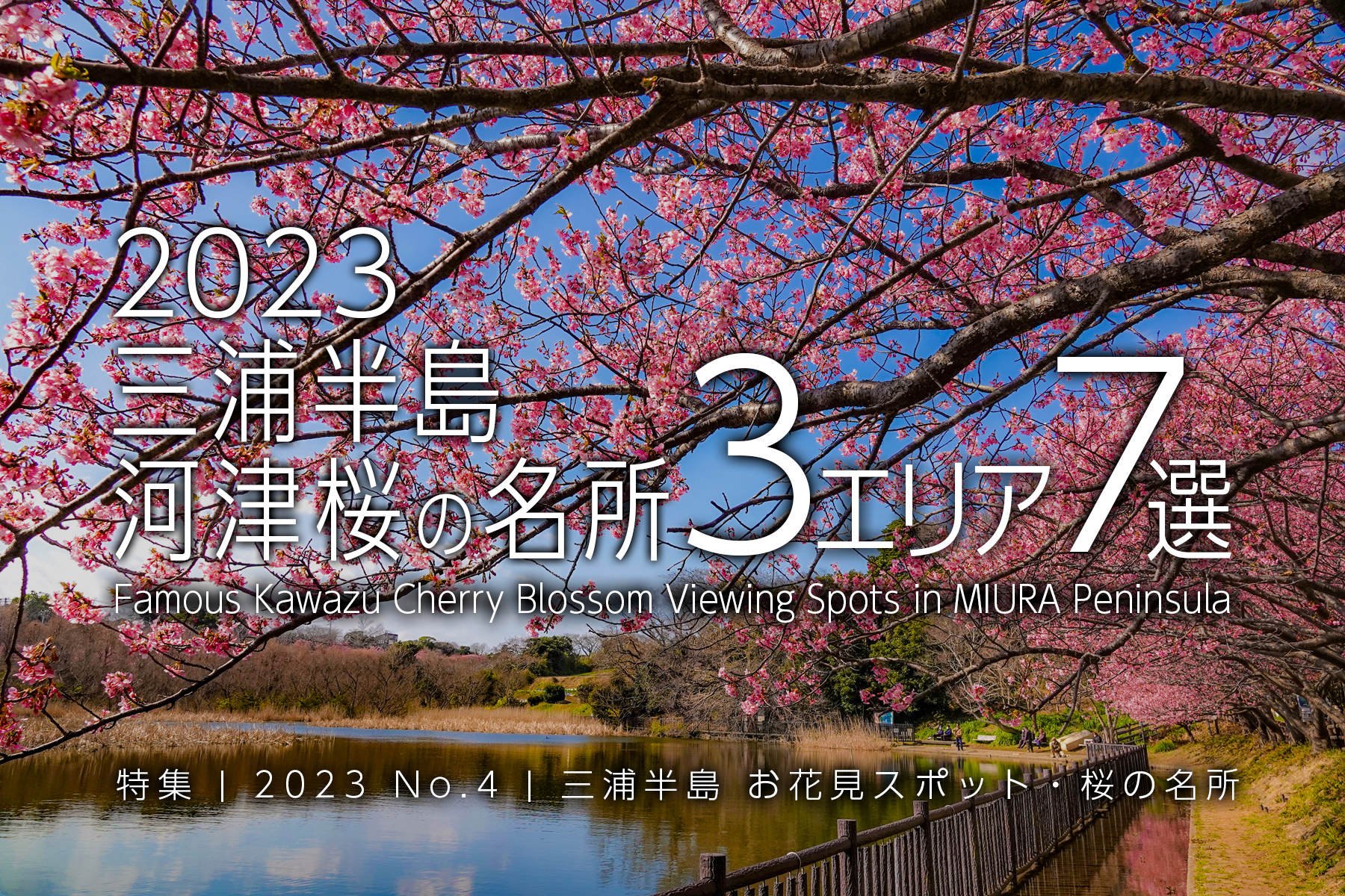 【2023 No.4】特集 | 三浦半島河津桜の名所