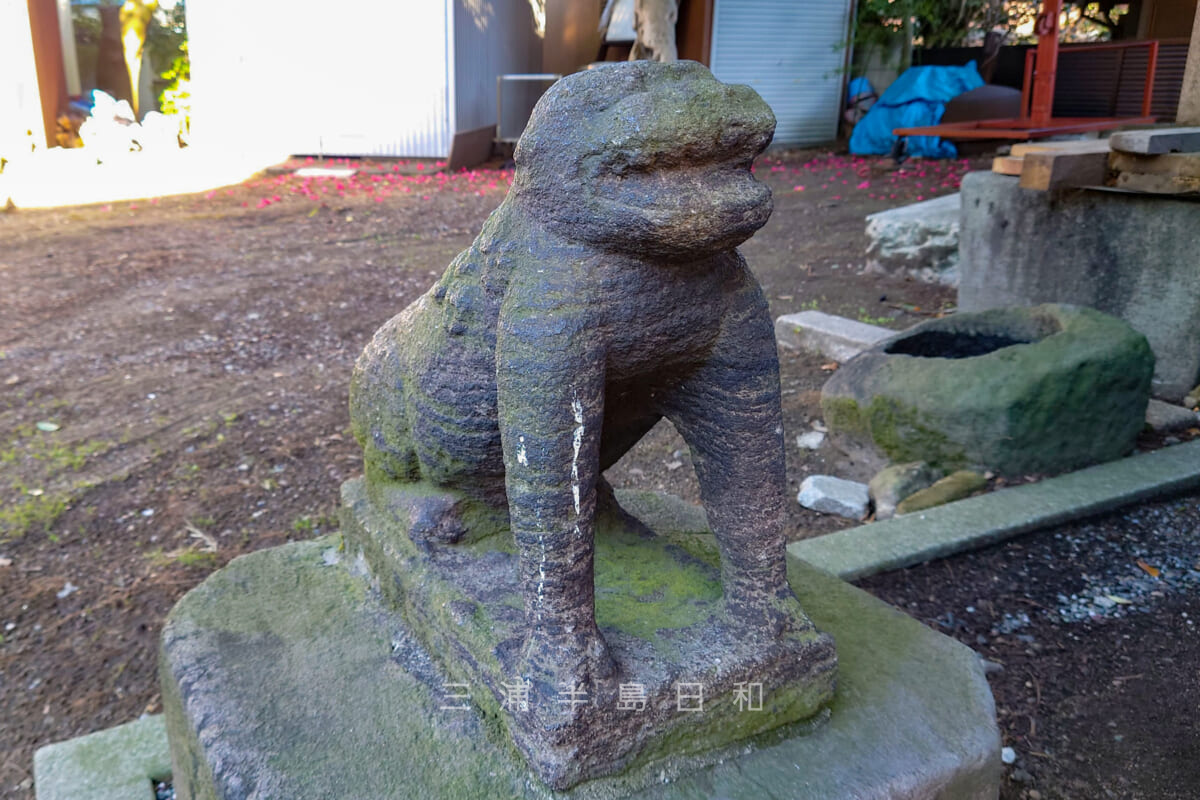 春日神社・狛猿（狛犬）（撮影日：2023.01.20）