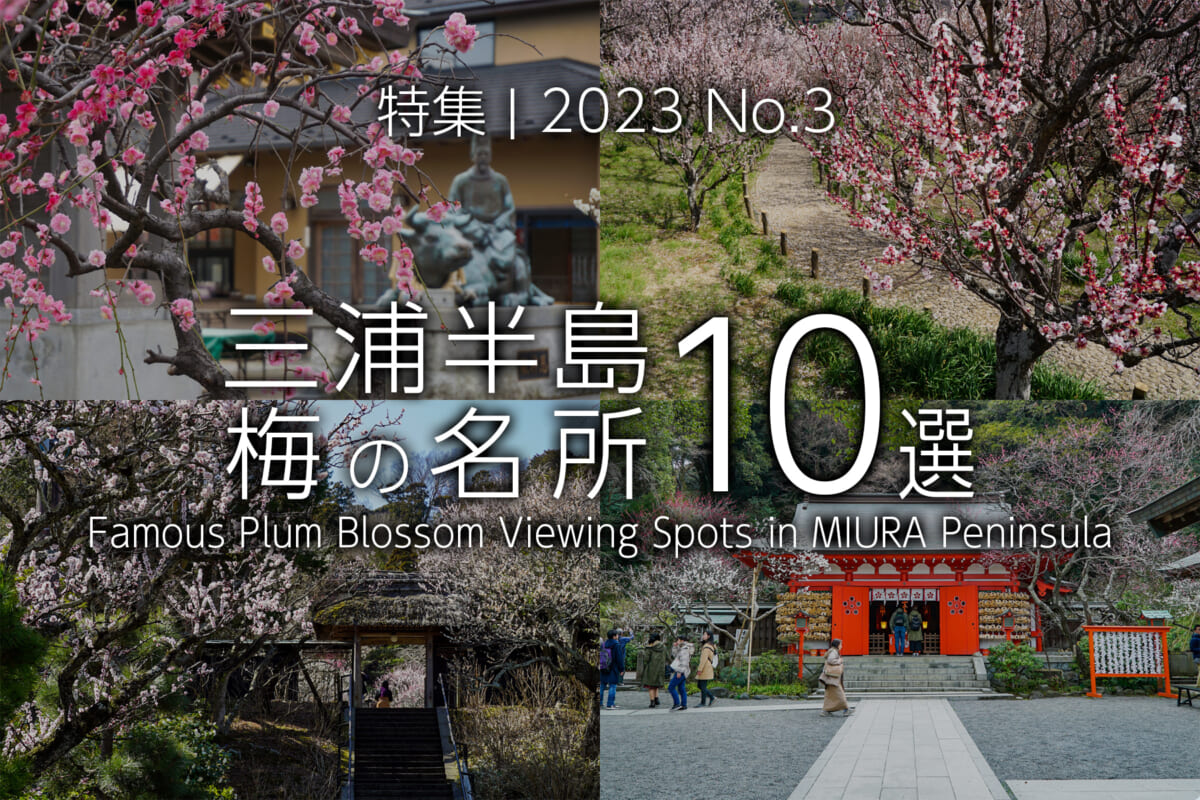 【2023 No.3】特集 | 三浦半島梅の名所