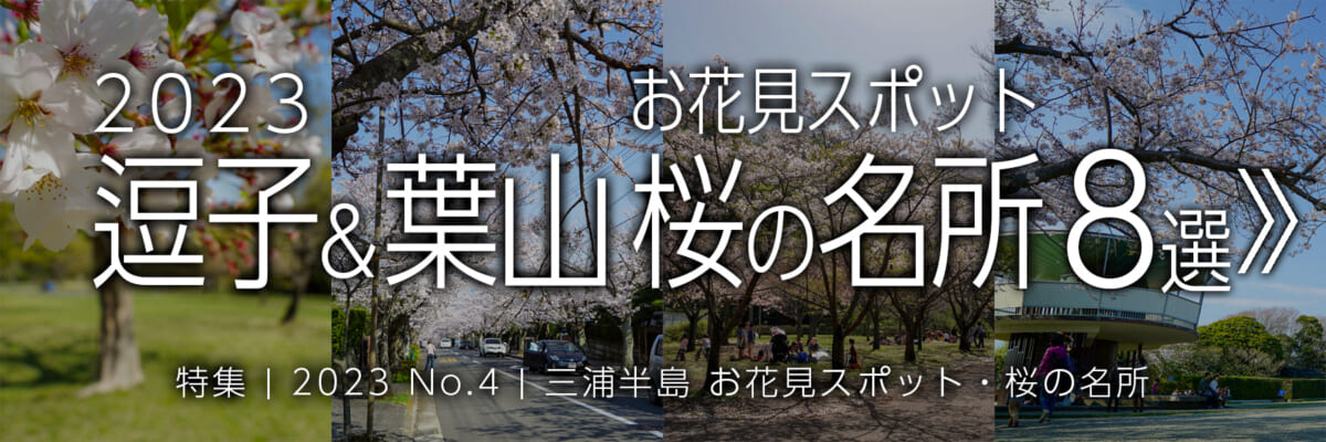 【2023 No.4】特集 | 逗子＆葉山桜の名所