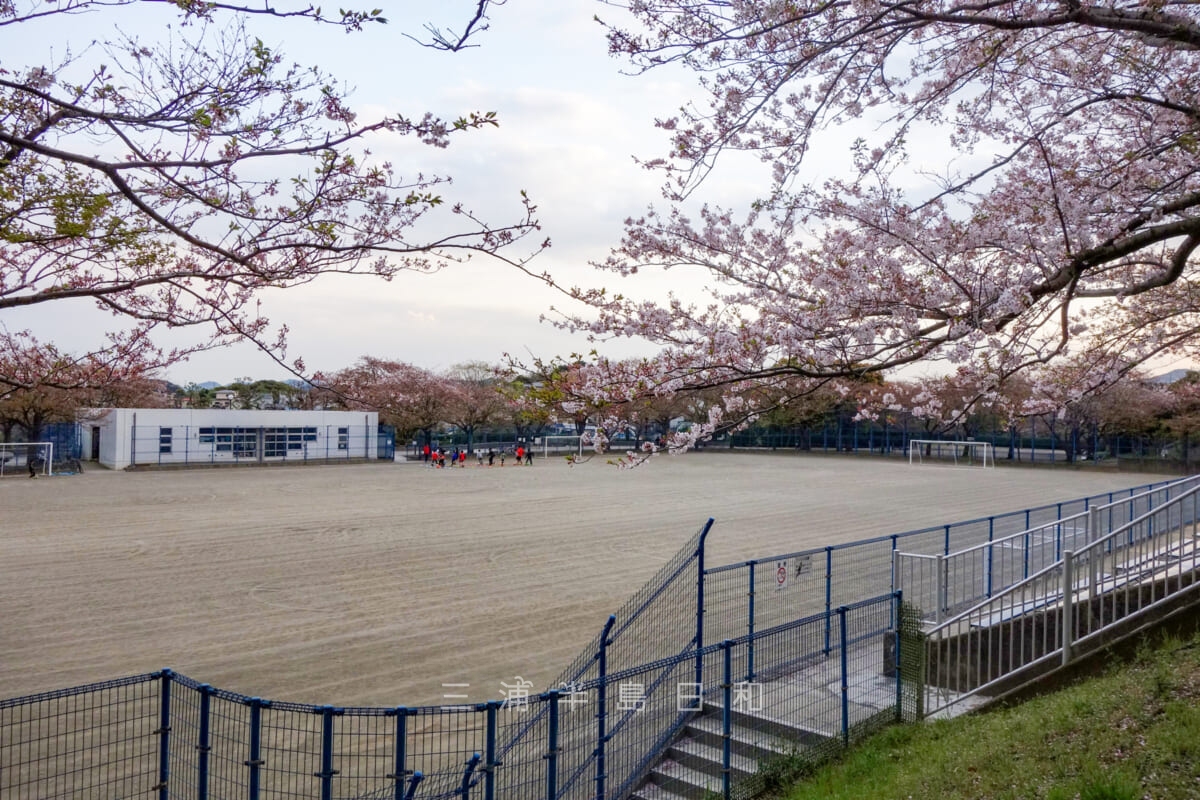 はまゆう公園・サッカーグラウンド（撮影日：2016.04.11）
