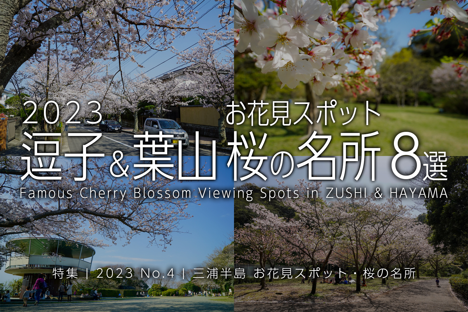 【2023 No.4】特集 | 逗子＆葉山桜の名所