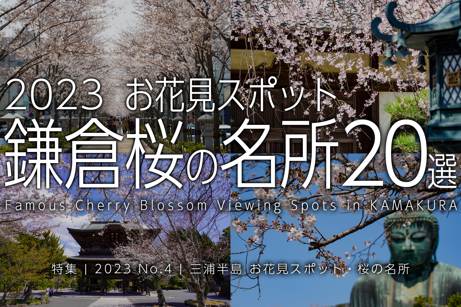 【2023 No.4】特集 | 鎌倉桜の名所