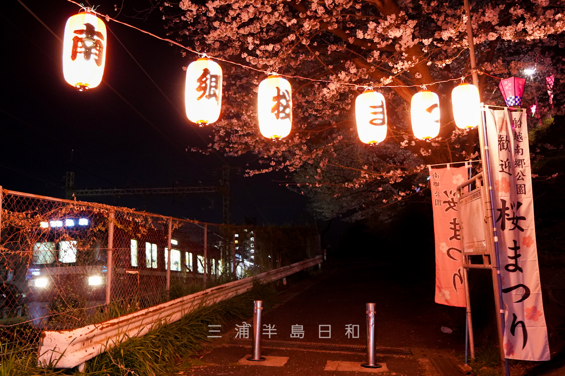 船越南郷公園桜まつり・公園入口付近のライトアップ（撮影日：2023.03.22）