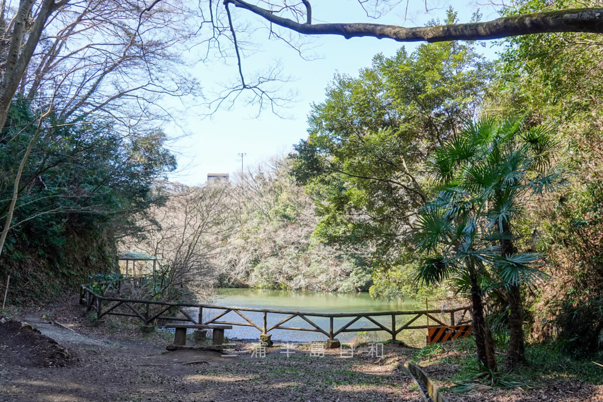 久木大池公園・やまなみルート入口付近より池を望む（撮影日：2023.02.28）