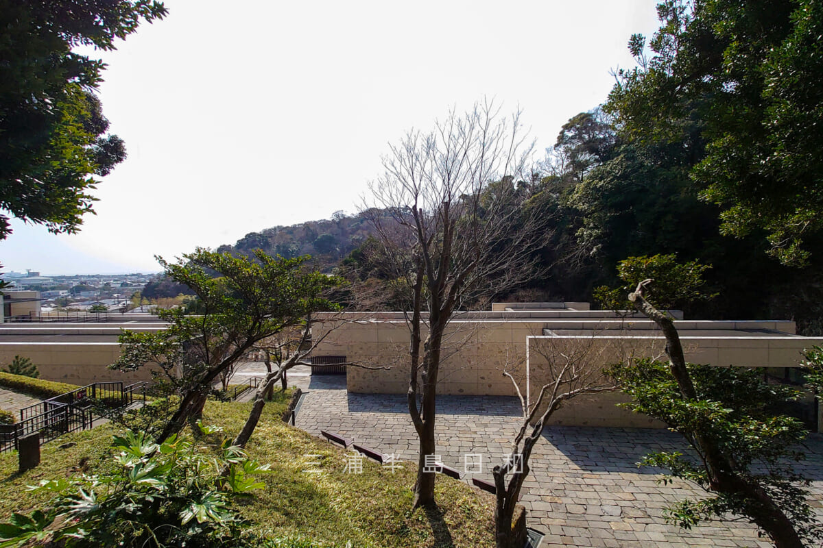 鎌倉歴史文化交流館・見晴らし台へ続く階段より由比ヶ浜方面を望む（撮影日：2023.03.09）