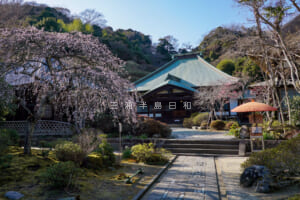 海蔵寺