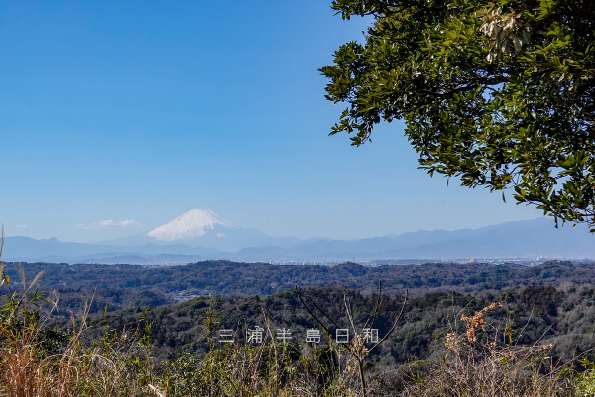 十二所果樹園・展望台より天園（鎌倉アルプス）、富士山方面を望む（撮影日：2023.02.28）