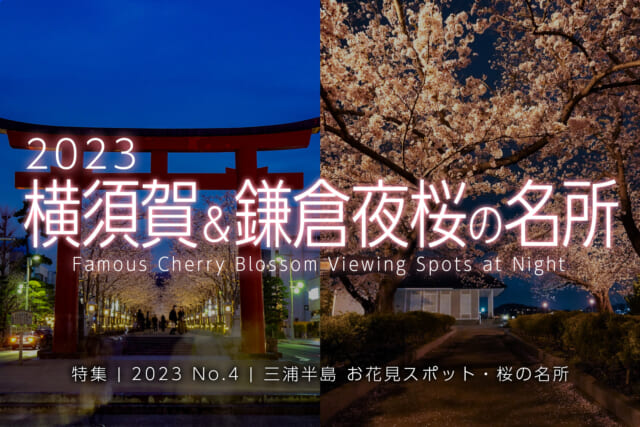 【2023 No.4】特集 | 横須賀＆鎌倉桜の名所