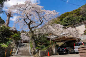 等覚寺（撮影日：2023.03.20）
