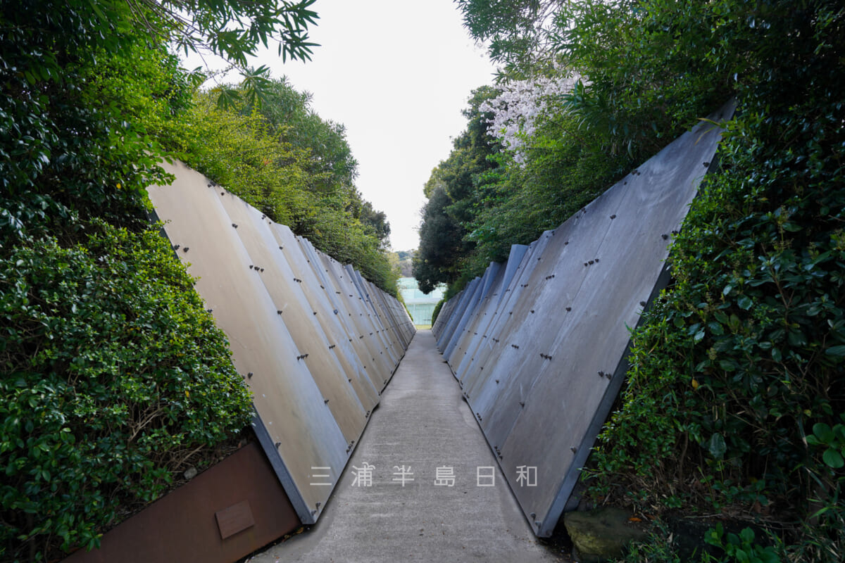 横須賀美術館・「Valleys(2nd-stage)」（若林奮）（撮影日：2023.03.29）
