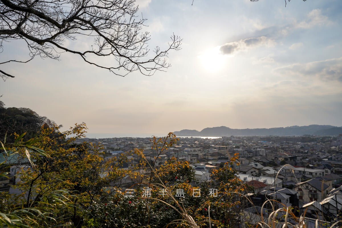 安国論寺・富士見台より鎌倉市街、由比ヶ浜方面を望む（撮影日：2023.03.22）