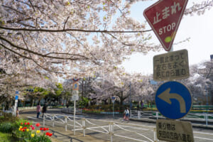 根岸交通公園
