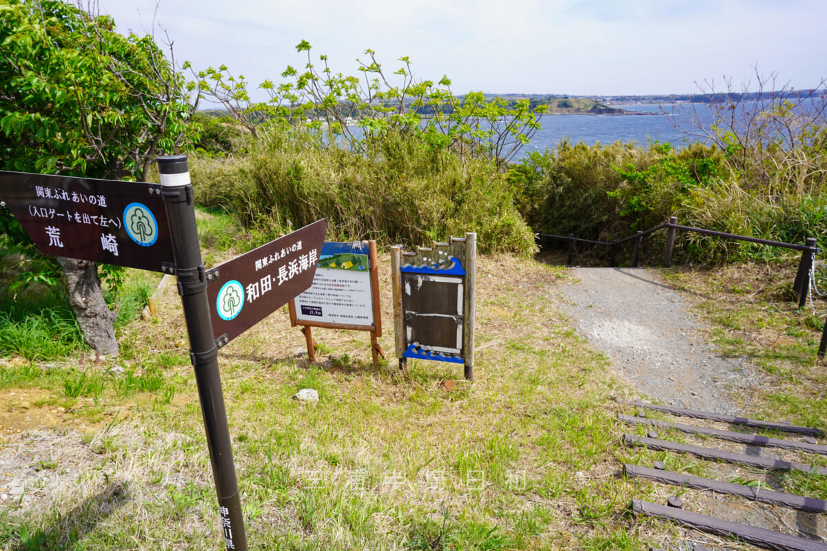 長井海の手公園ソレイユの丘・海へ繋がる散策路（撮影日：2023.04.05）