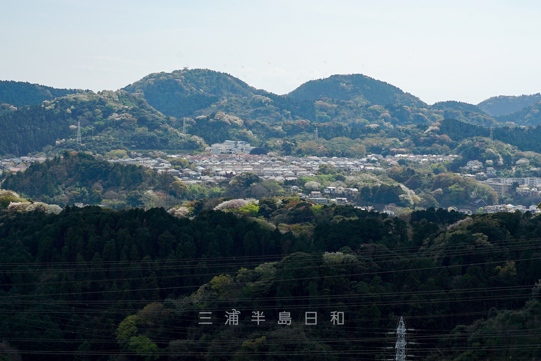 二子山・鷹取山展望台から望む（撮影日：2023.03.30）