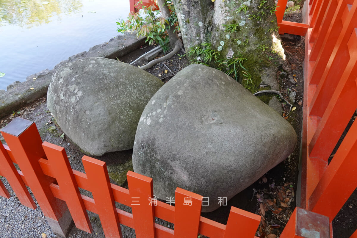 鶴岡八幡宮・政子石（撮影日：2023.04.16）