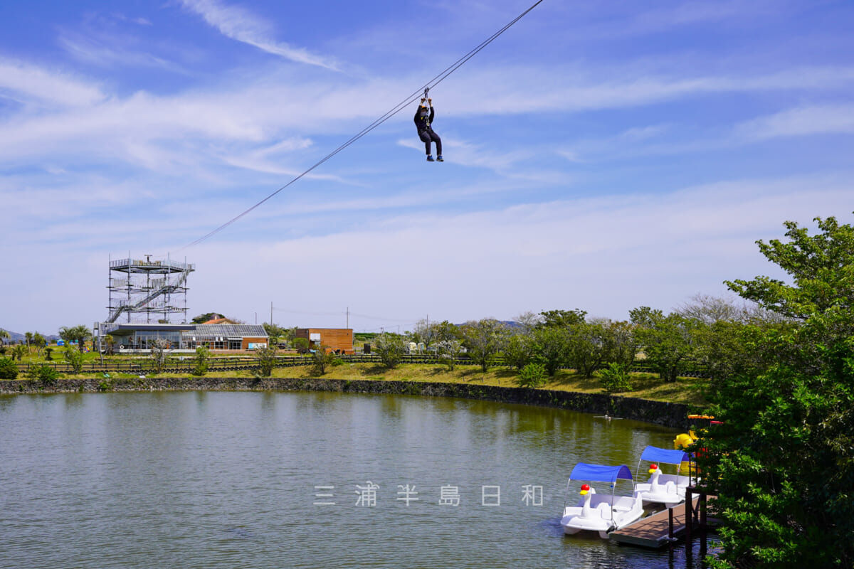 長井海の手公園ソレイユの丘・ボート池を越えるジップライン（撮影日：2023.04.05）