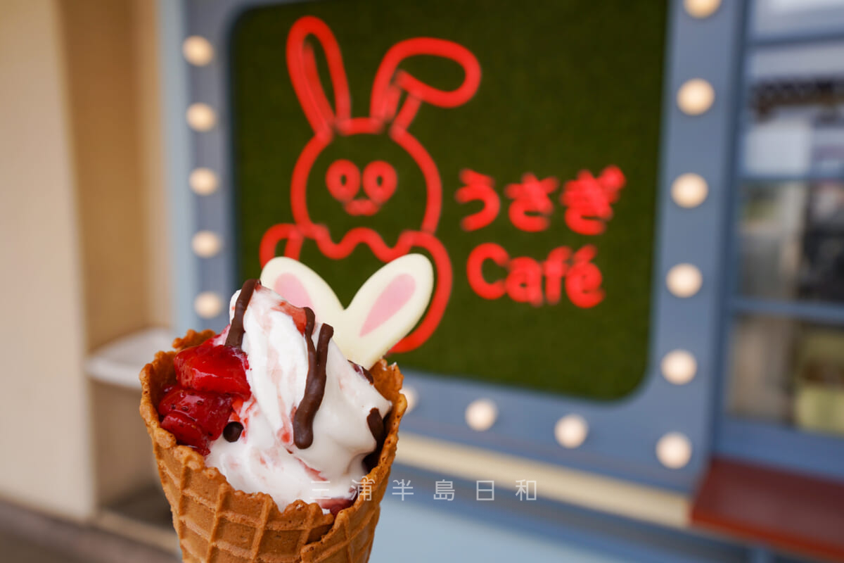長井海の手公園ソレイユの丘・「うさぎCafe」のソフトクリーム（撮影日：2023.04.05）