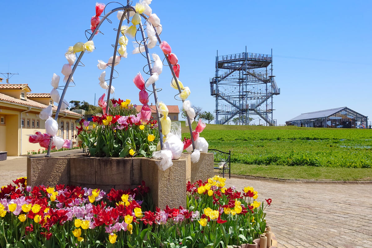 長井海の手公園 ソレイユの丘・メインゲートの花壇（撮影日：2023.04.10）