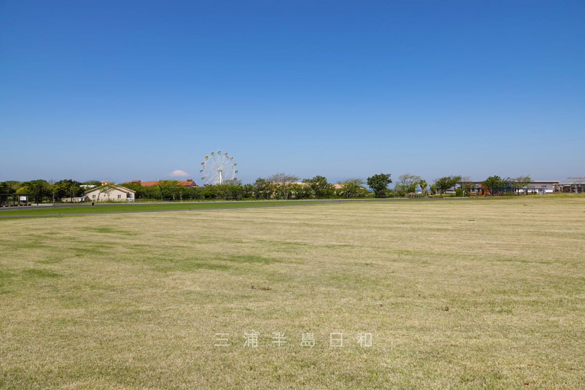長井海の手公園 ソレイユの丘・フリーサイト（撮影日：2023.04.10）