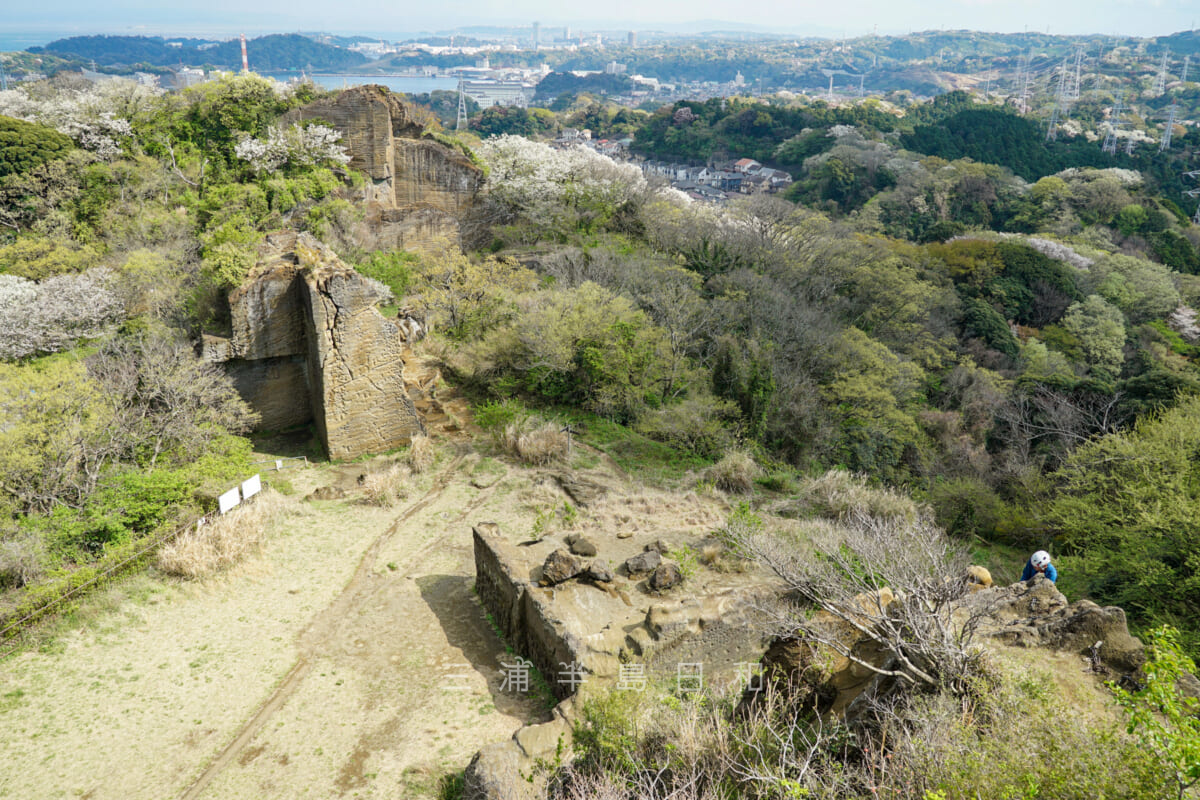 鷹取山山頂より横須賀港方面を望む（撮影日：2023.03.30）