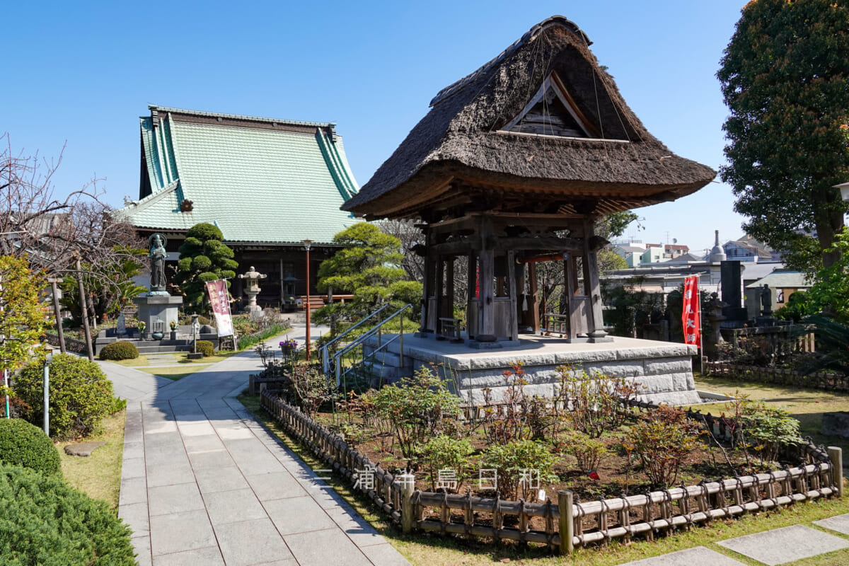 龍華寺・鐘楼と本堂(撮影日:2023.03.20)