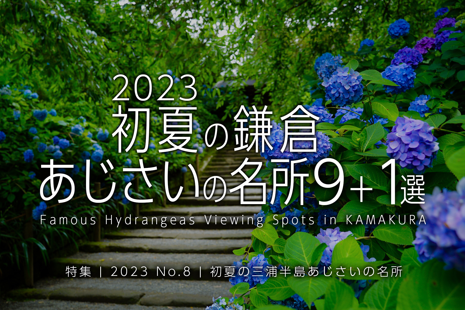 【2023 No.8】特集 | 鎌倉あじさいの名所