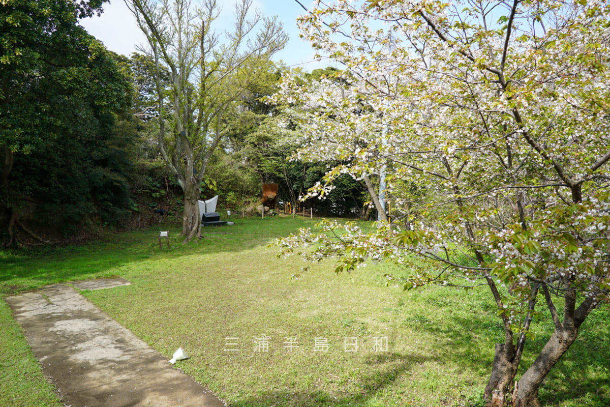 諏訪公園・台座から広場を一望（撮影日：2023.03.30）