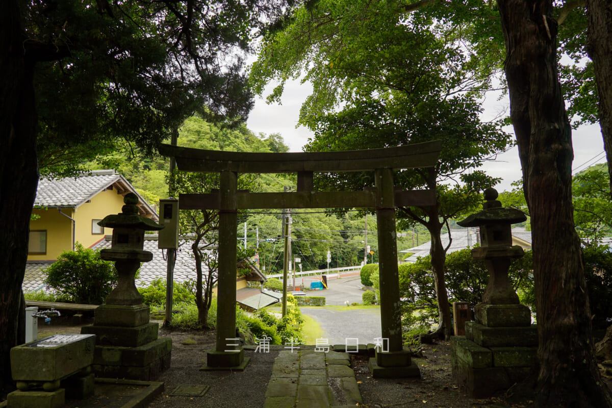 十二所神社（鎌倉）・境内より金沢街道方面を望む（撮影日：2023.05.31）