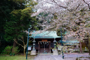 諏訪大神社