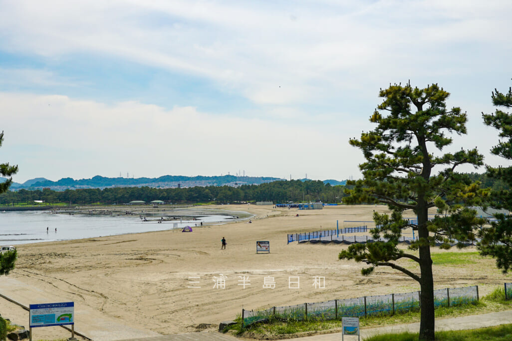 海の公園 横浜唯一の海水浴場で潮干狩りのメッカ 6810