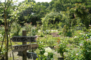 桐ヶ谷歴史庭園（沼浜城跡）