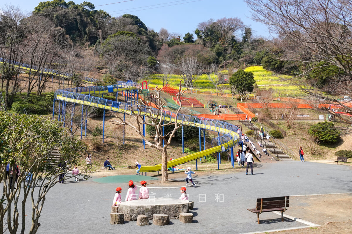 金沢自然公園・こども広場（ローラーすべり台）を下から見上げる（撮影日：2023.03.07）