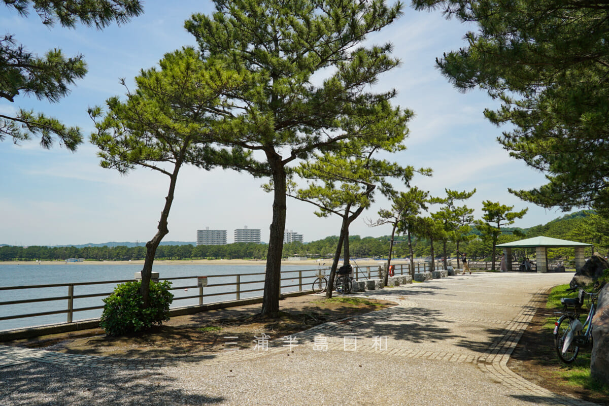 海の公園・八景島駅近くの釣りができる岸壁（撮影日：2023.06.07）