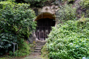 光則寺 | 鎌倉で一番大きなカイドウ(海棠)や日蓮ゆかりの清澄沢あじさいなど花の名所
