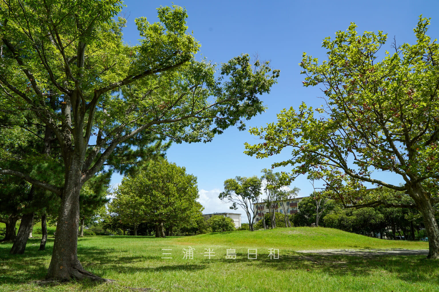 横須賀スタジアム・追浜公園 | 横浜DeNAベイスターズファームチーム本拠地