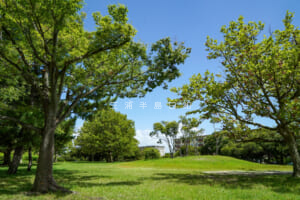 野島公園・室ノ木地区