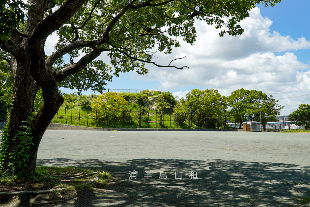 野島公園（室ノ木地区）・ジープ山を多目的広場側より望む（撮影日：2023.08.10）