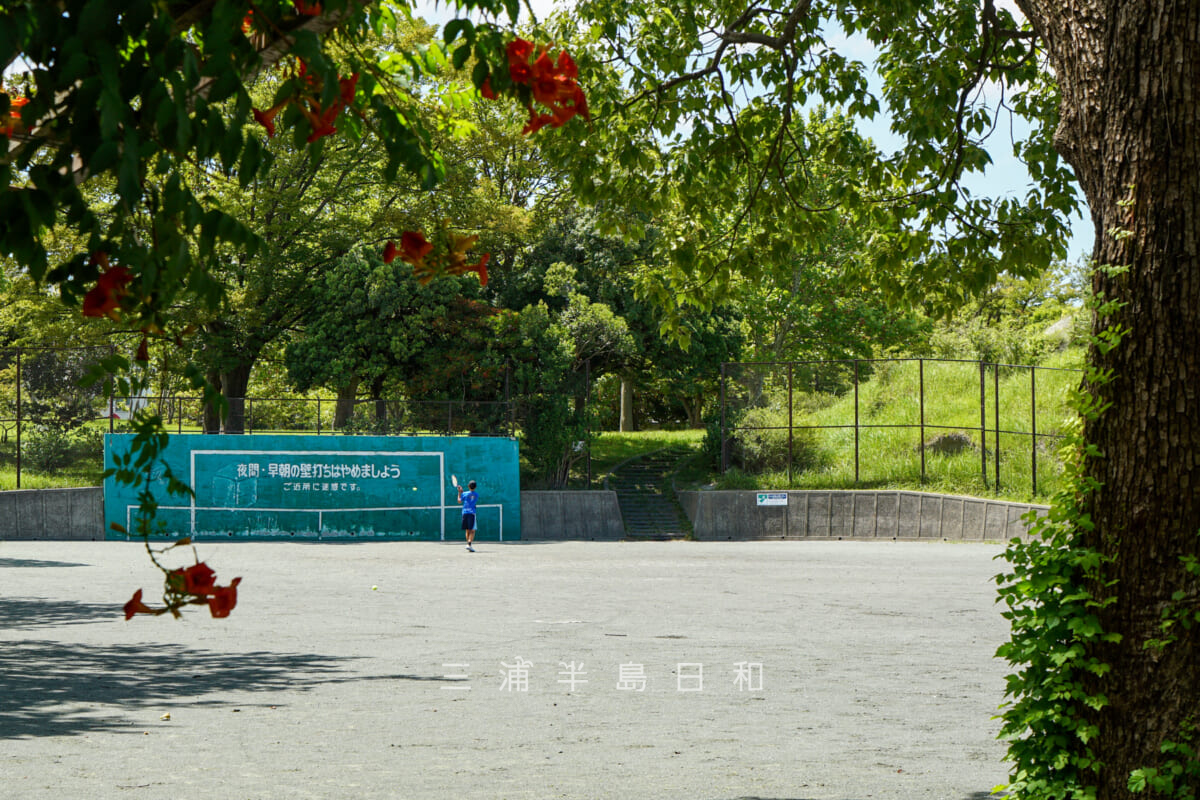 野島公園（室ノ木地区）・多目的広場の壁打ち施設（撮影日：2023.08.10）