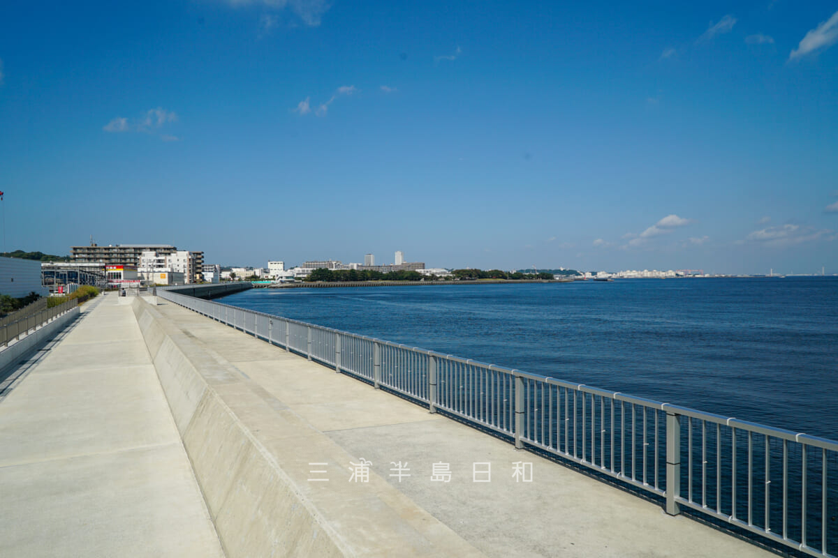 大津地区高潮対策護岸・大津漁港側から海辺つり公園方面を望む（撮影日：2023.09.28）
