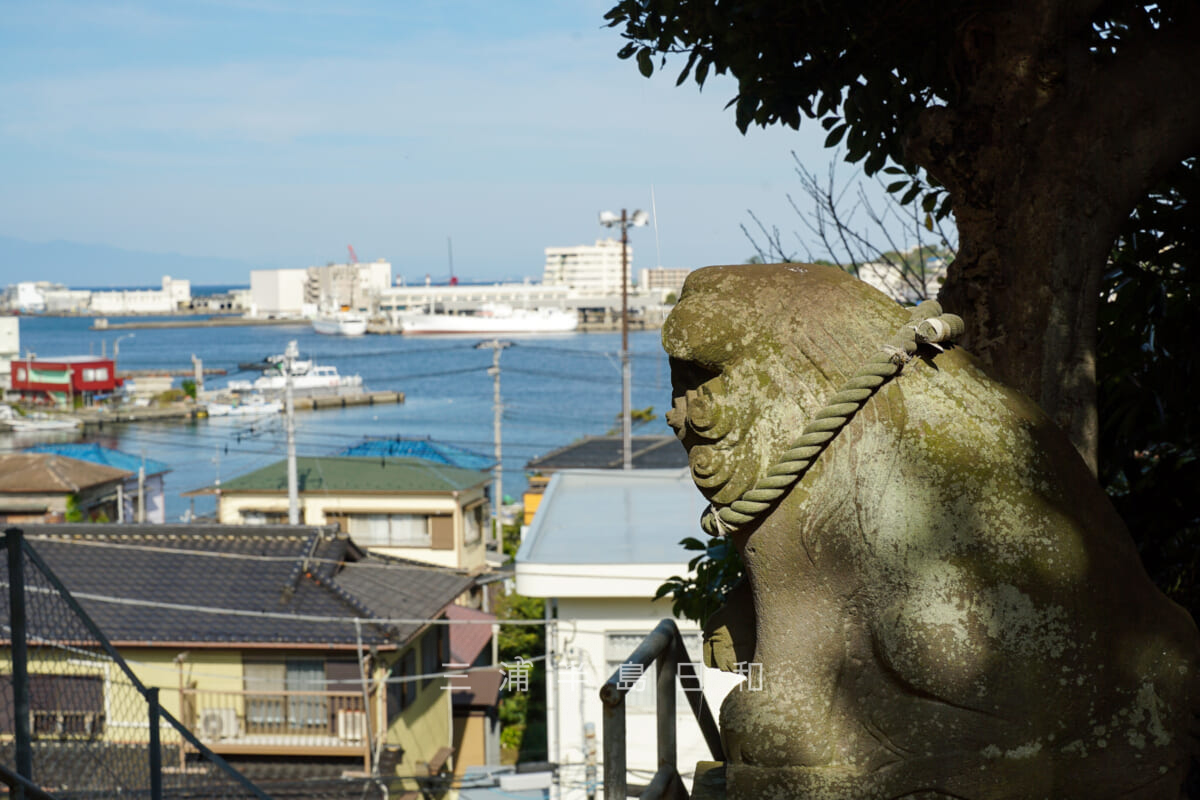 城ヶ島海南神社・対岸の三崎漁港方面を望む狛犬（撮影日：2023.10.19）