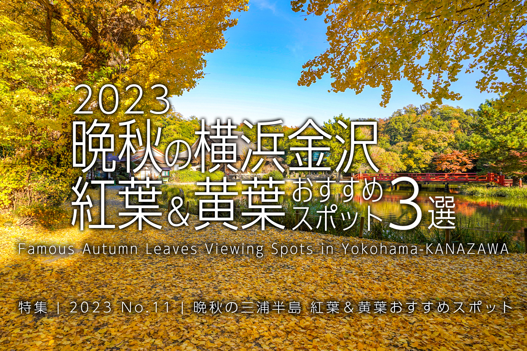 【2023 No.11】特集 | 晩秋の横浜金沢・紅葉＆黄葉