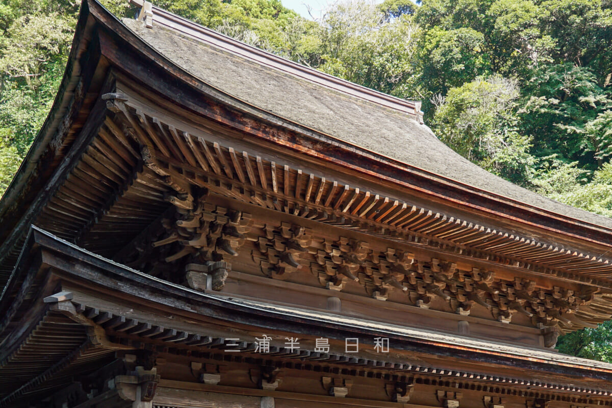 円覚寺・舎利殿・禅宗様の特徴を示す軒の反り、扇垂木、詰組（撮影日：2023.11.04）