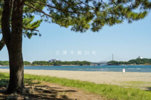 海の公園
