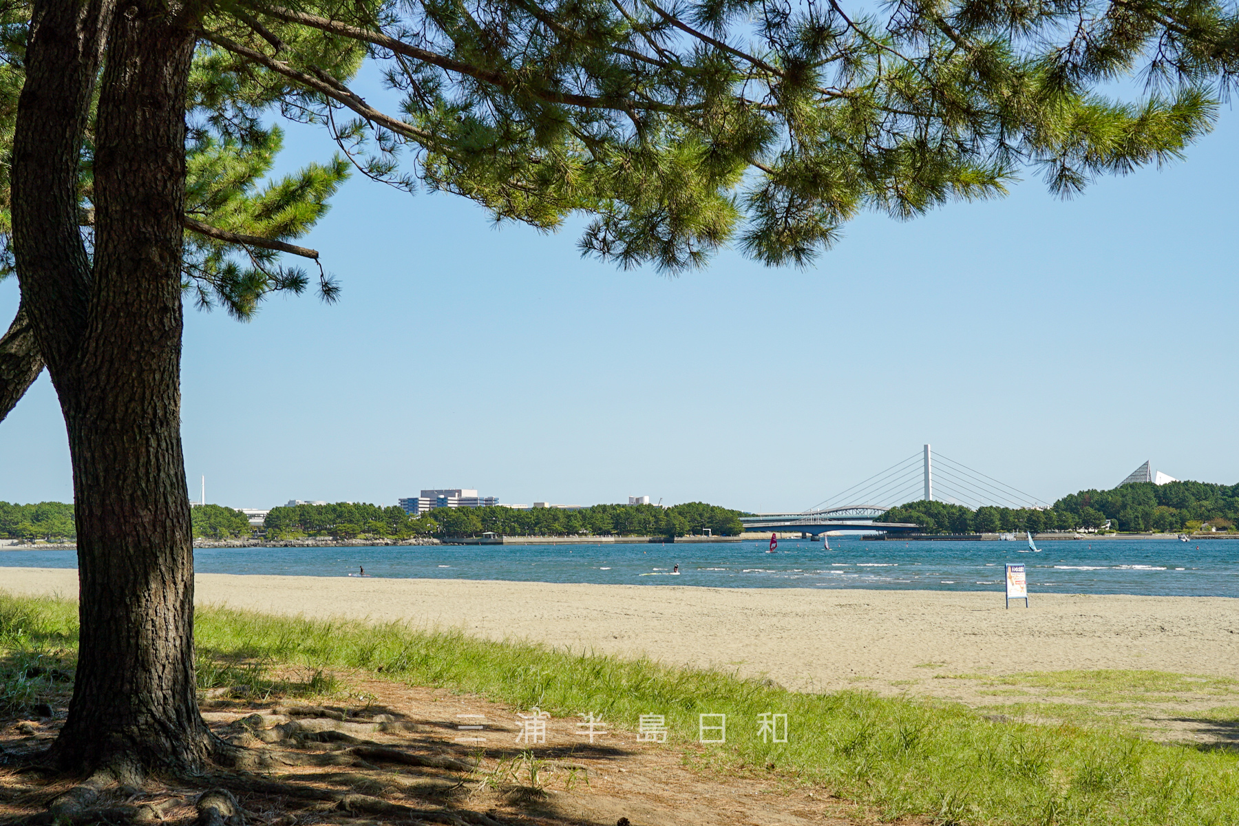 海の公園より金沢八景大橋方面を望む（撮影日：2023.10.13）