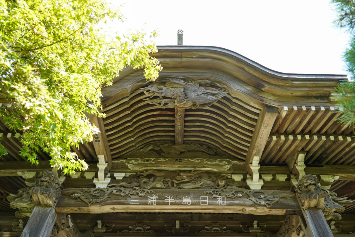 妙法寺・本堂軒下の彫刻（撮影日：2023.10.13）