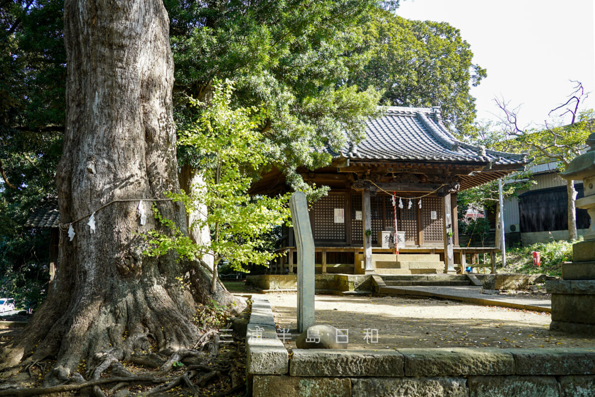 五霊神社（撮影日：2023.11.16）
