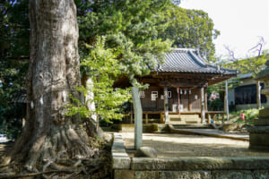 五霊神社[沼間]