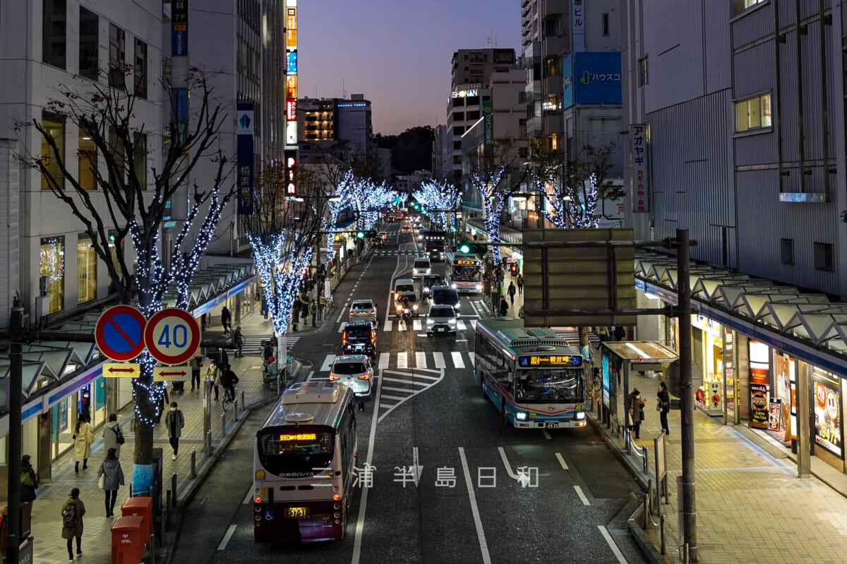 横須賀中央ウインターイルミネーション2022-2023・横須賀中央大通り(撮影日:2022.12.15)